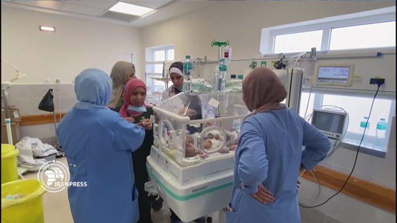 Iranpress: أطباء يحاولون إبقاء الأطفال الخدج على قيد الحياة في غزة + فيديو