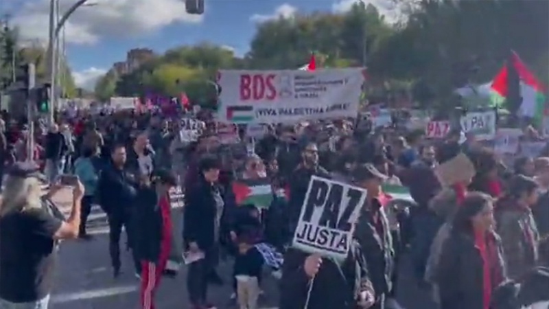 Iranpress: مظاهرة حاشدة في مدريد دعمًا لفلسطين 