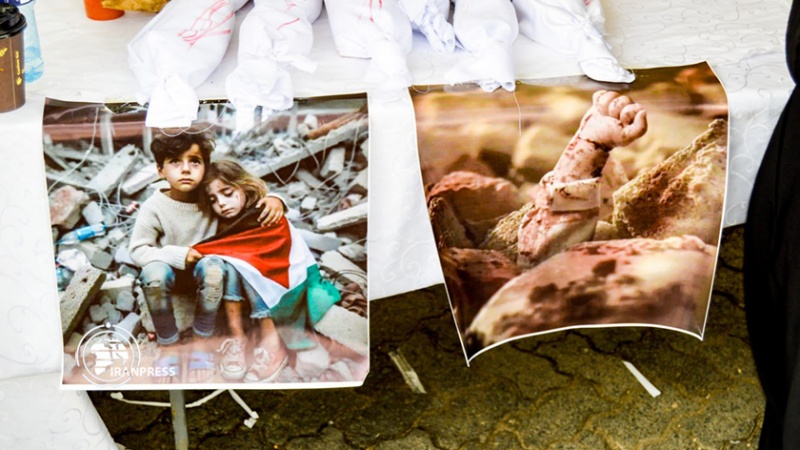 Iranpress: معرض الصور في نيروبي دعمًا لأهالي غزة + صوروفيديو