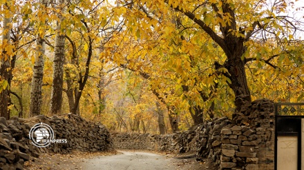 السياحة في الخريف الملون بمدينة همدان الإيرانية