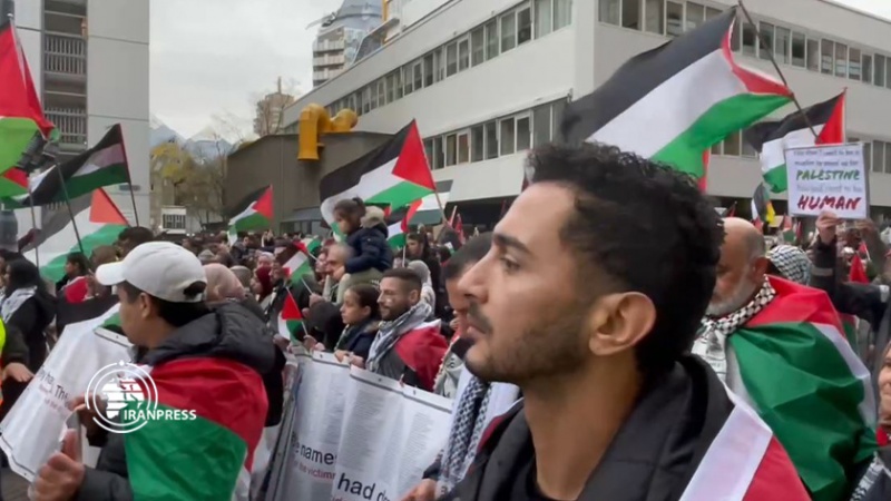 Iranpress: تظاهرة مناصرة للشعب الفلسطيني في روتردام بهولندا