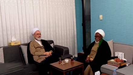 الشيخ الزكزكي يلتقي مع مدير الحوزات العلمية الإيرانية