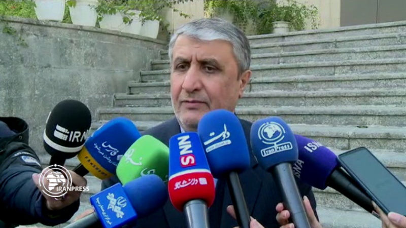 Iranpress: رئيس منظمة الطاقة الذرية : الاتهامات ضد إيران غير صحيحة 
