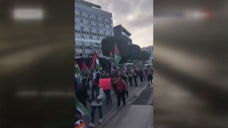 Iranpress: مظاهرات في العاصمة القبرصية نيقوسيا دعما لفلسطين + فيديو