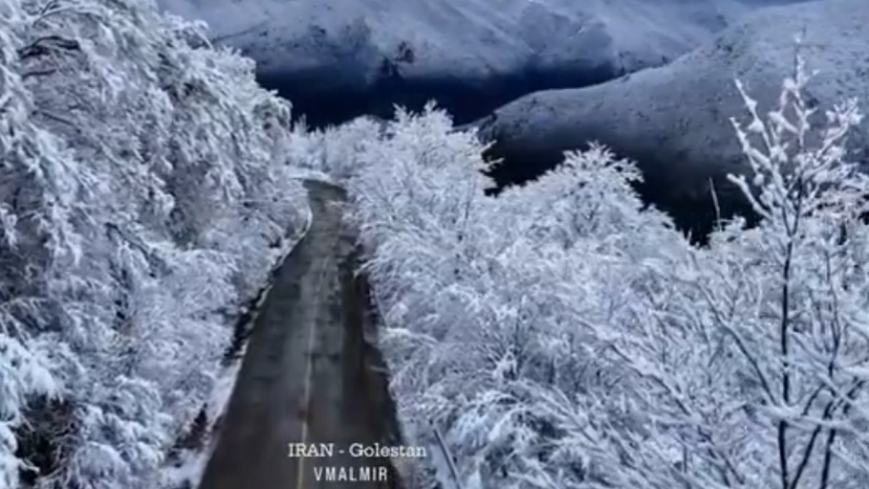 Iranpress: الثلوج تضفي جمالًا ساحرًا على غابات غلستان 