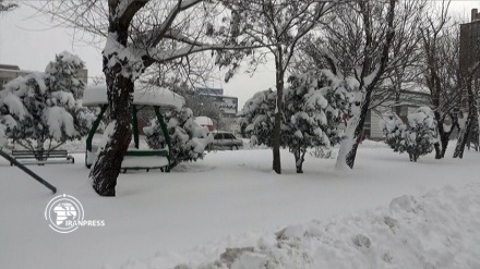 الثلوج تكسو مدينة أردبيل الإيرانية