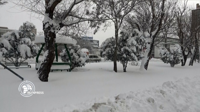 Iranpress: الثلوج تكسو مدينة أردبيل الإيرانية