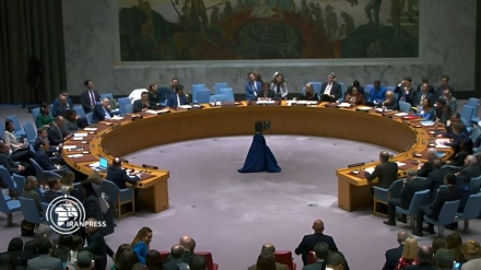 اجتماع مجلس الأمن حول غزة ؛ على الاحتلال وضع حد للإبادة الجماعية 