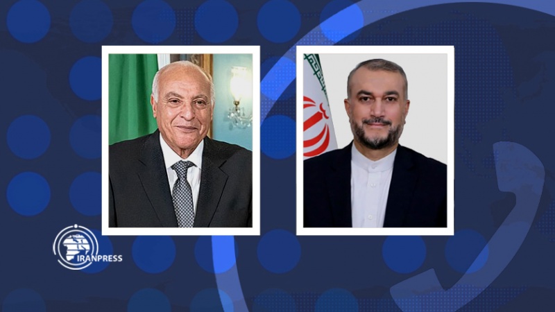 Iranpress: إيران والجزائر تؤكدان على ضرورة وقف الإبادة الجماعية للفلسطينيين في غزة