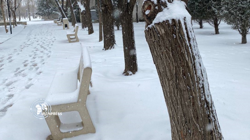 Iranpress: مشاهد تساقط الثلوج بمحافظة ألبرز الإيرانية
