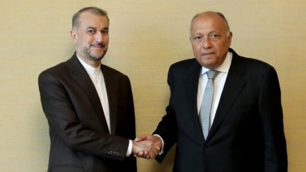 إيران ومصر تبحثان ضرورة إرسال الإمدادات إلى قطاع غزة