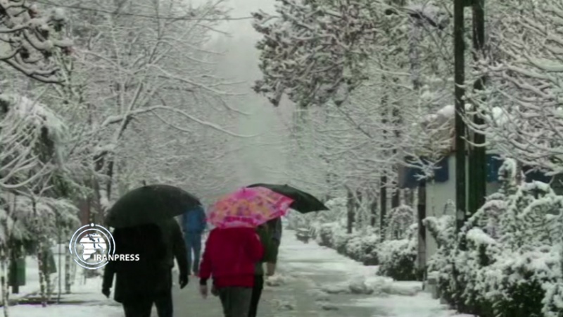 Iranpress: مشاهد جميلة لتساقط الثلوج في طهران + فيديو