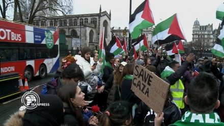 وقفة احتجاجية لمؤيدي فلسطين أمام البرلمان البريطاني