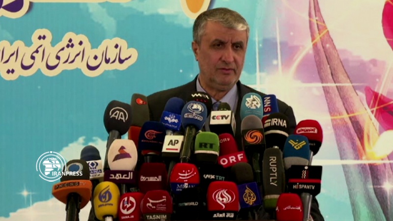 Iranpress: إيران تستضيف أول مؤتمر دولي للطاقة الذرية 